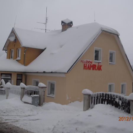 Penzion Hamrak Ceske Hamry Bagian luar foto