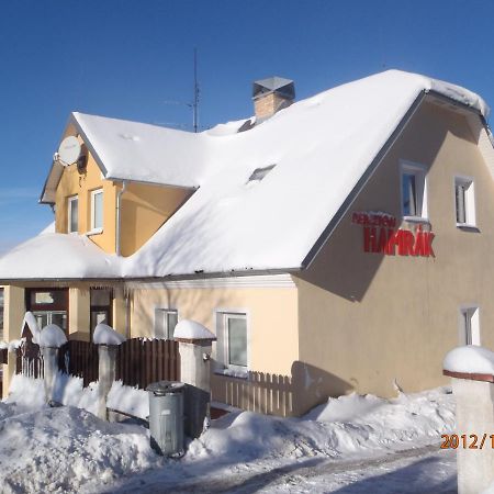 Penzion Hamrak Ceske Hamry Bagian luar foto