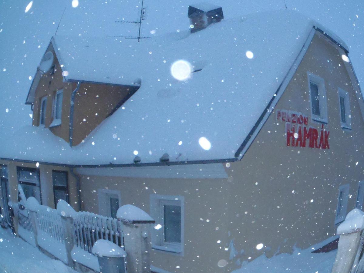 Penzion Hamrak Ceske Hamry Bagian luar foto