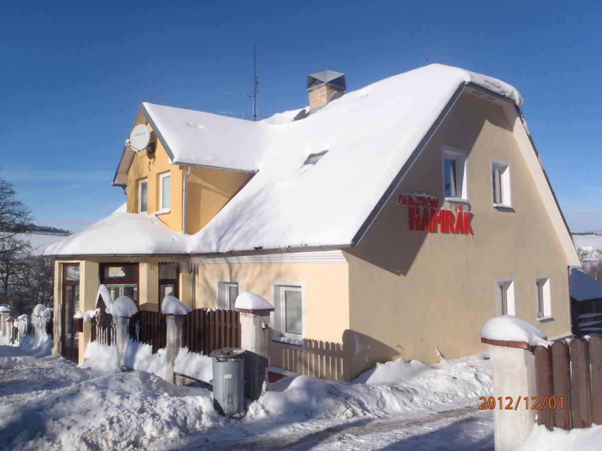 Penzion Hamrak Ceske Hamry Bagian luar foto